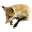 Nemrod2