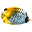 3D Fish School Screen Saver 4.992