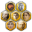 The Family Tree of Family, Copyright (©) 2005-2024 Version 1.1.9 Build 20240319