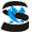 Stock Xray version 2.0