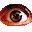Oczko