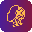 InterviewSolver 1.0.9