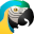Focus Magic 6.2