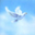 Reflections of Life v 4.0