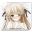 Yosuga_No_sora_v4