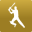 Total Cricket Scorer 11