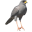 HPDTA 9.4 - 64 Bit