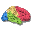 BrainVoyager