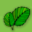 Encyklopedia przyrody 1.0