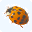 Ladybug Mixer Professional