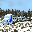Arctic Trucker
