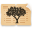 FamilySearch Indexing 3.10.5