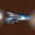 Forbidden Galaxy