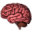 Train Your Brain