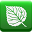 ForeignWood 1.162
