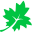 Maple Reader