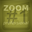 ZOOM Video #1 professional