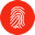 InfoTimeTransfer