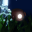 Lunazoa Version 1.2
