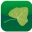 Quantum 2.7.349