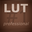 LUT #1 professional