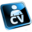 CV Forms