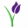 Bloomlink Client