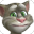 Talking Tom Cat 2