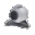INCA Web Cam