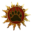 Dark Parables 10 Version 1.0