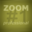 ZOOM #1 professional