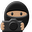 Photo Ninja 1.4.0c (SSE42)