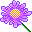 Mini Dic