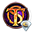 The Secret Order 7. Shadow Breach CE