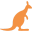 Kangaroo