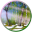 Spring Walk 3D Screensaver and Animated Wallpaper 1.0