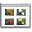 Extreme Picture Creator Professional 8