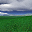 Green Fields 3D Screensaver v1.8.3