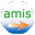 AMIS 3.1.3 (日本　日本語)