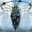 Schizm II version 1.1