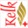 Kelk2013
