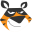 TigerVPN