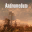 Andromedum