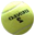 Dream Match Tennis Pro v3.00