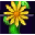 Magic Vines