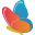 5DFly Photo Design 4.1.32