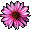 POWER FLOWER