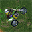 Super Motocross