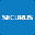 Securus Video Runtime Environment