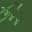 Scaffold 5.0.1